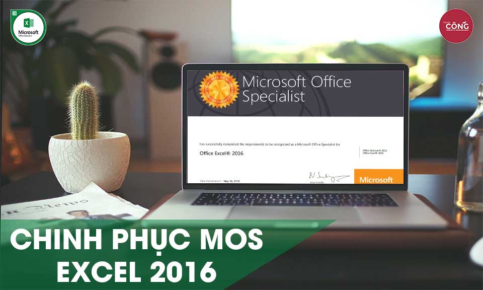 MOS EXCEL 2016