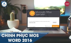 MOS WORD 2016