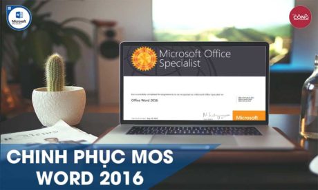 MOS WORD 2016