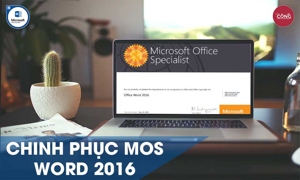 MOS WORD 2016